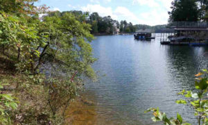 choosing a lot on lake wedowee